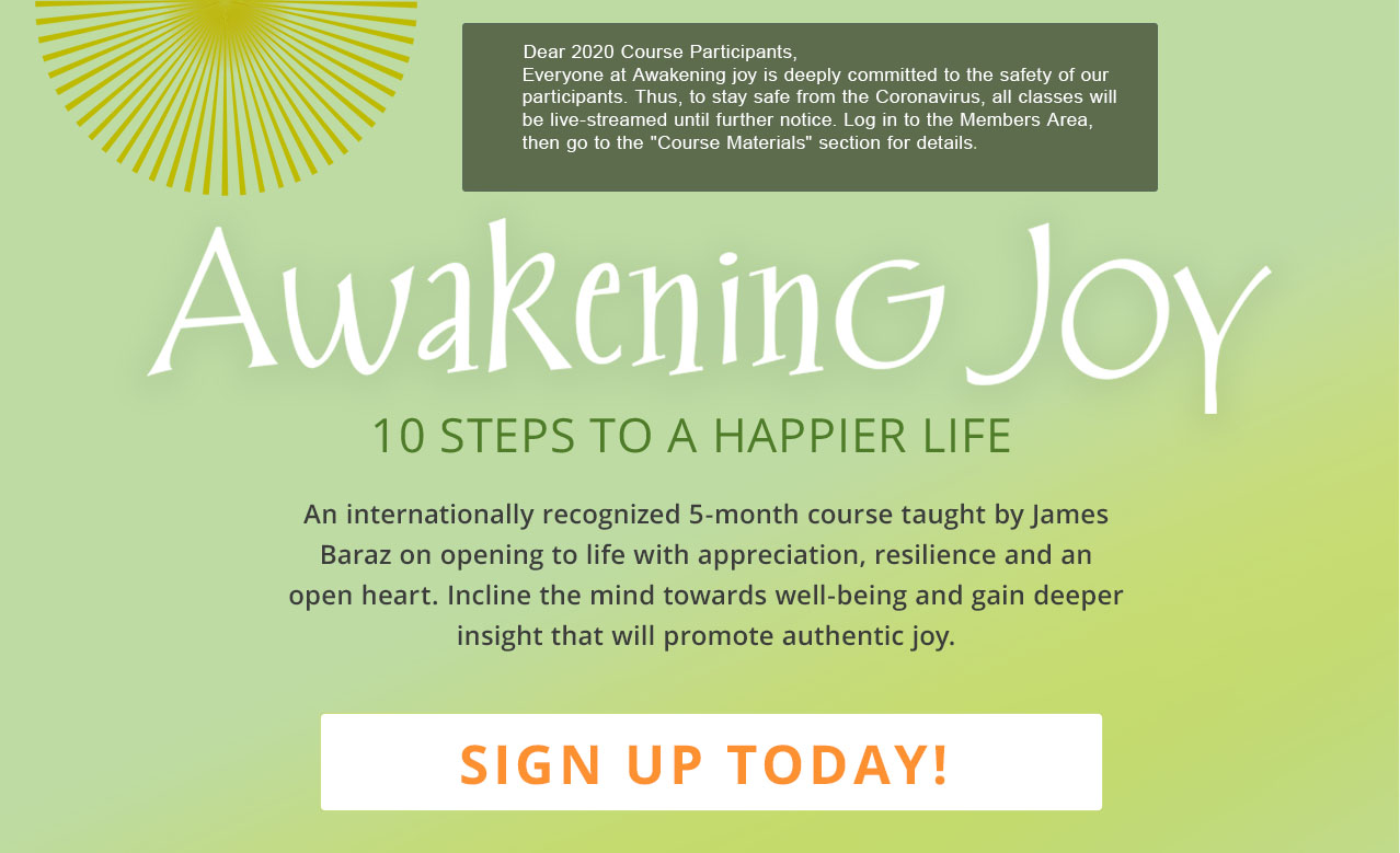 Awakening Joy