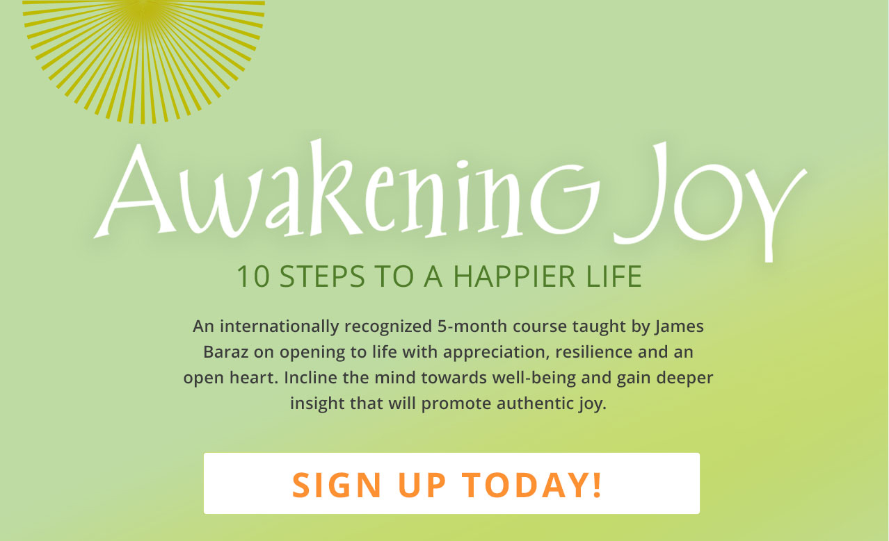 Awakening Joy