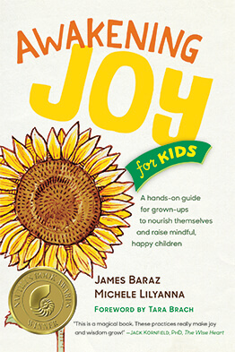 Book Awakening Joy for Kids